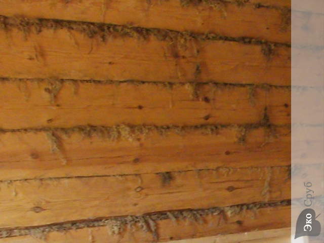 Фото отделки деревянного дома