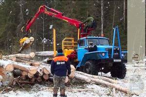 Заготовка и погрузка леса